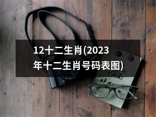 12十二生肖(2023年十二生肖号码表图)