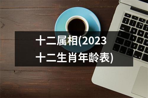 十二属相(2023十二生肖年龄表)