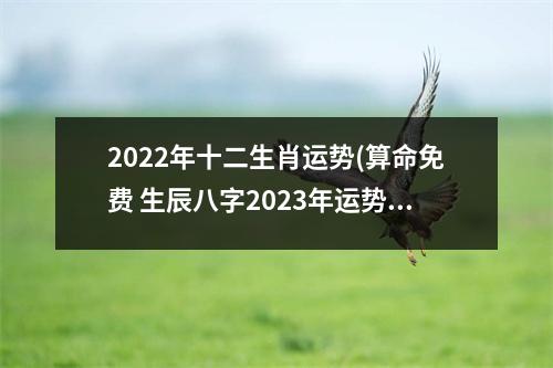 2022年十二生肖运势(算命免费 生辰八字2023年运势)