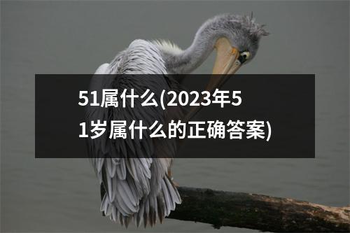 51属什么(2023年51岁属什么的正确答案)