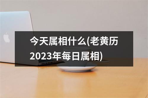 今天属相什么(老黄历2023年每日属相)