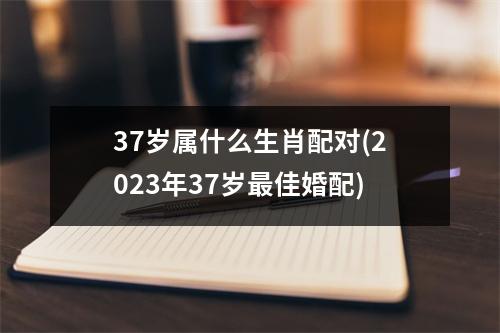 37岁属什么生肖配对(2023年37岁佳婚配)