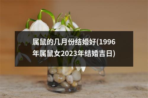 属鼠的几月份结婚好(1996年属鼠女2023年结婚吉日)