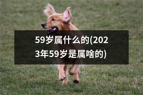 59岁属什么的(2023年59岁是属啥的)