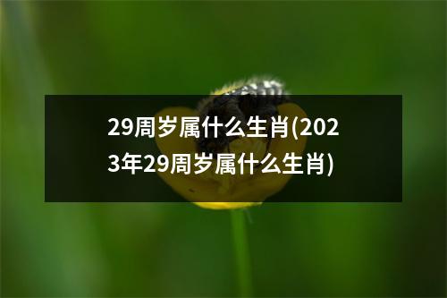 29周岁属什么生肖(2023年29周岁属什么生肖)