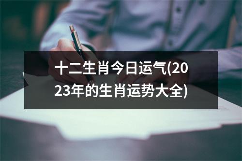 十二生肖今日运气(2023年的生肖运势大全)