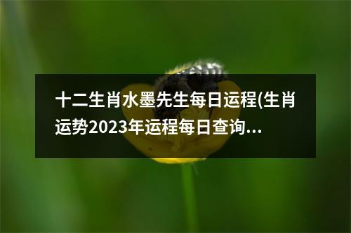 十二生肖水墨先生每日运程(生肖运势2023年运程每日查询)