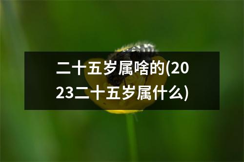 二十五岁属啥的(2023二十五岁属什么)