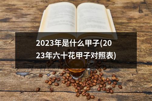 2023年是什么甲子(2023年六十花甲子对照表)