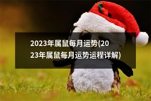 2023年属鼠每月运势(2023年属鼠每月运势运程详解)