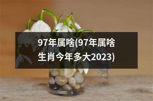 97年属啥(97年属啥生肖今年多大2023)