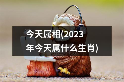 今天属相(2023年今天属什么生肖)