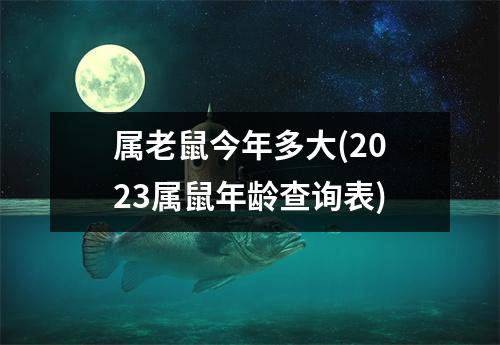 属老鼠今年多大(2023属鼠年龄查询表)