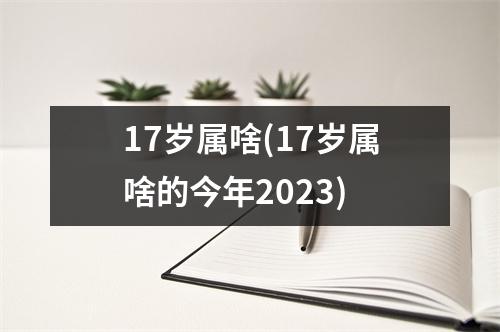 17岁属啥(17岁属啥的今年2023)