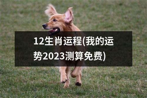 12生肖运程(我的运势2023测算免费)