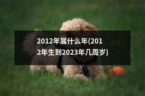 2012年属什么年(2012年生到2023年几周岁)