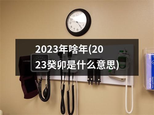 2023年啥年(2023癸卯是什么意思)