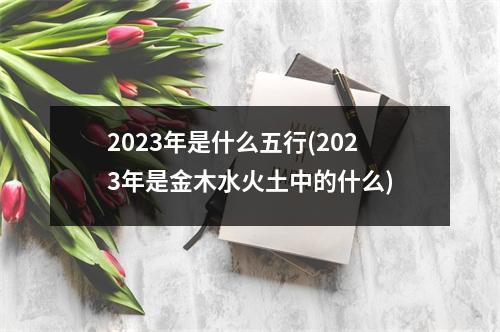 2023年是什么五行(2023年是金木水火土中的什么)