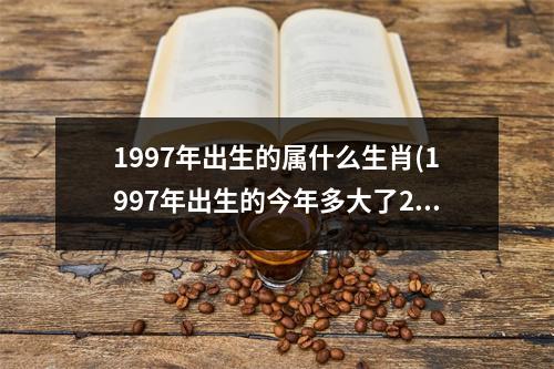 1997年出生的属什么生肖(1997年出生的今年多大了2023)