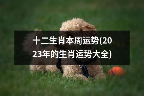 十二生肖本周运势(2023年的生肖运势大全)