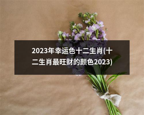 2023年幸运色十二生肖(十二生肖旺财的颜色2023)