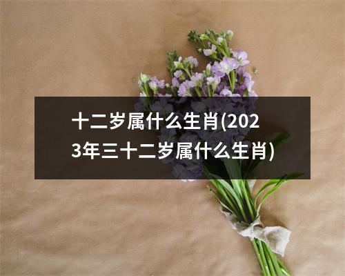 十二岁属什么生肖(2023年三十二岁属什么生肖)