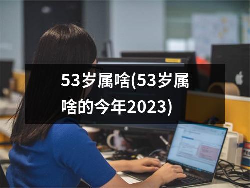 53岁属啥(53岁属啥的今年2023)