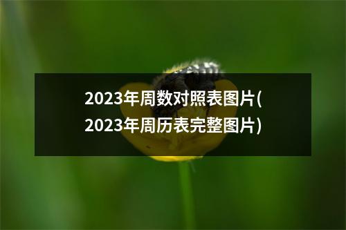 2023年周数对照表图片(2023年周历表完整图片)