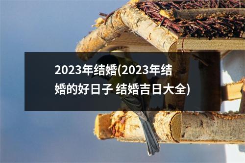 2023年结婚(2023年结婚的好日子 结婚吉日大全)