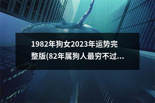 1982年狗女2023年运势完整版(82年属狗人穷不过41岁)