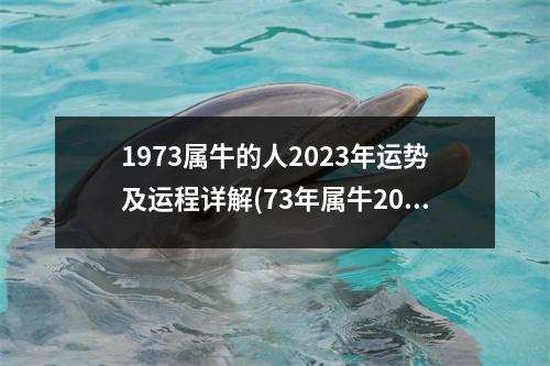 1973属牛的人2023年运势及运程详解(73年属牛2023年有三喜)