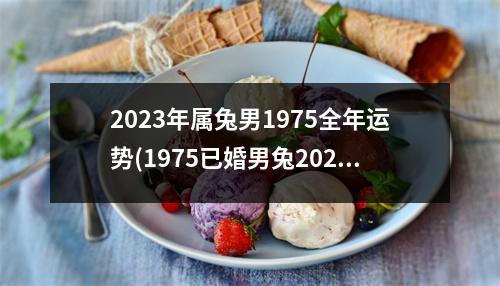 2023年属兔男1975全年运势(1975已婚男兔2023全年运势)