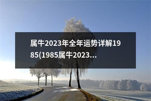 属牛2023年全年运势详解1985(1985属牛2023年运势及运程每月运程)