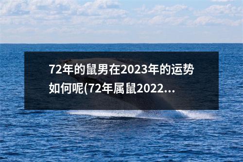 72年的鼠男在2023年的运势如何呢(72年属鼠2022年的运程和每月运势)