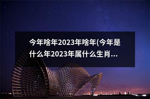 今年啥年2023年啥年(今年是什么年2023年属什么生肖年)