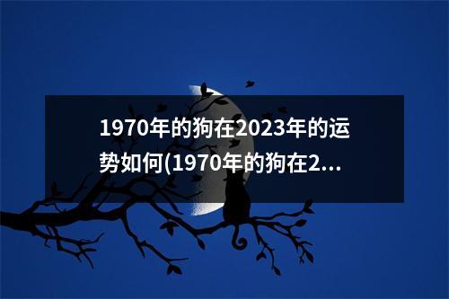 1970年的狗在2023年的运势如何(1970年的狗在2023年的运势如何)