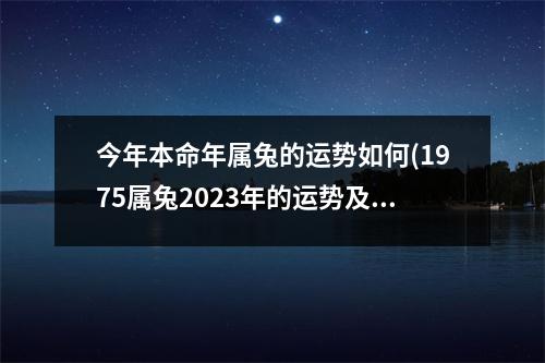 今年本命年属兔的运势如何(1975属兔2023年的运势及运程)