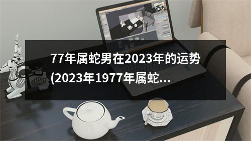 77年属蛇男在2023年的运势(2023年1977年属蛇男家庭)