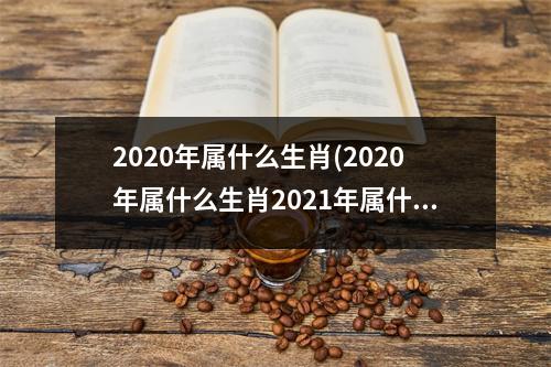 2020年属什么生肖(2020年属什么生肖2021年属什么)