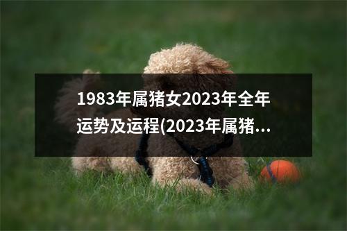 1983年属猪女2023年全年运势及运程(2023年属猪女有贵人相助吗)