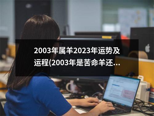 2003年属羊2023年运势及运程(2003年是苦命羊还是富羊)