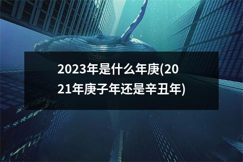 2023年是什么年庚(2021年庚子年还是辛丑年)