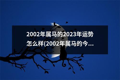 2002年属马的2023年运势怎么样(2002年属马的今年多大了)