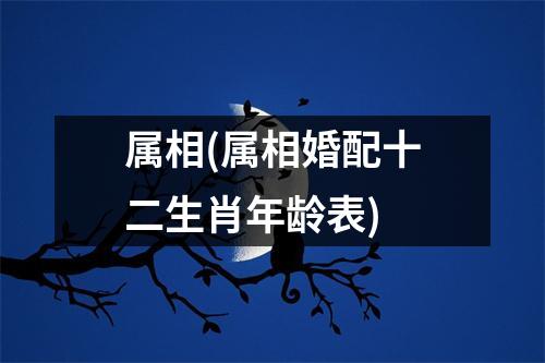 属相(属相婚配十二生肖年龄表)