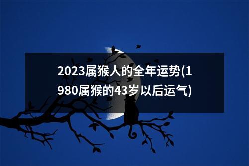 2023属猴人的全年运势(1980属猴的43岁以后运气)