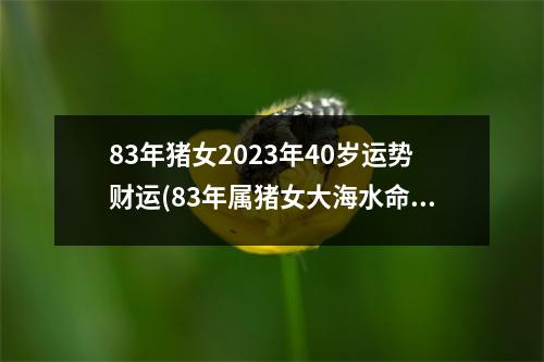 83年猪女2023年40岁运势财运(83年属猪女大海水命终极命运)