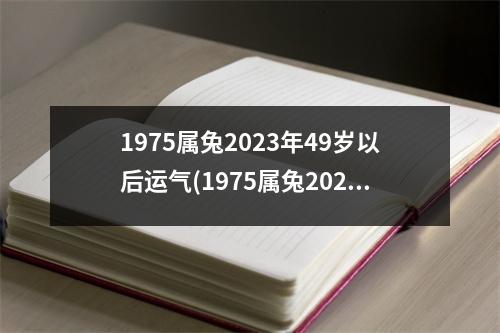 1975属兔2023年49岁以后运气(1975属兔2023年49岁以后运气属168属猴)