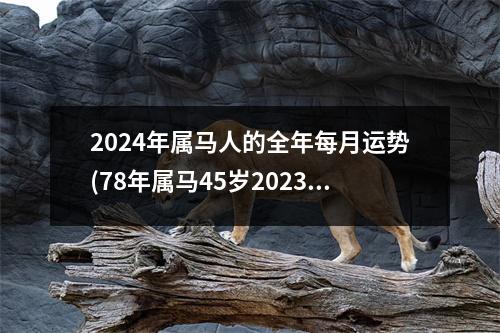 2024年属马人的全年每月运势(78年属马45岁2023劫难)