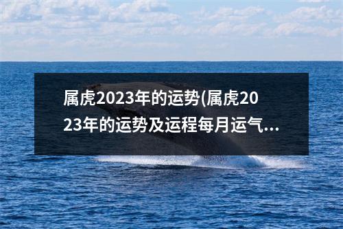 属虎2023年的运势(属虎2023年的运势及运程每月运气如何)