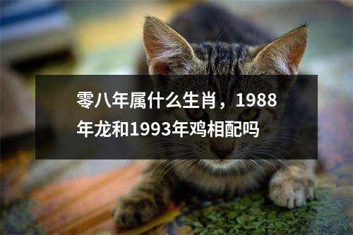 零八年属什么生肖，1988年龙和1993年鸡相配吗